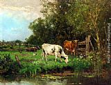 Cows Watering In A Meadow